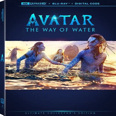 avatar: the way of water torrent|아바타: 물의 길。